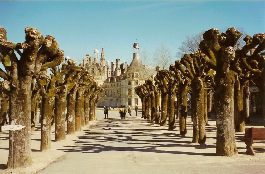 Château de Chambord - Foto do meu acervo pessoal