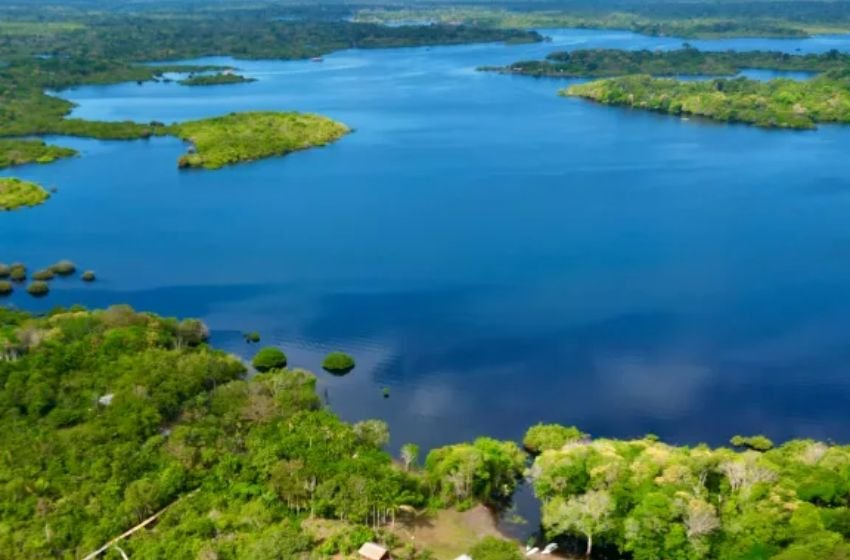 Margens tranquilas do Rio Negro