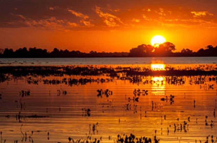 Pôr do sol sobre Pantanal, Brasil